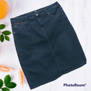 🎯🎯SALE🎯🎯Nicole Premium Jean Dark Wash Skirt sz 12